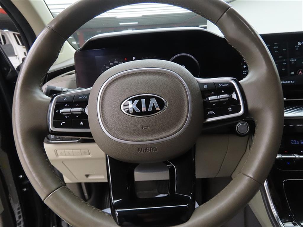 KIA Carnival - Vista 8