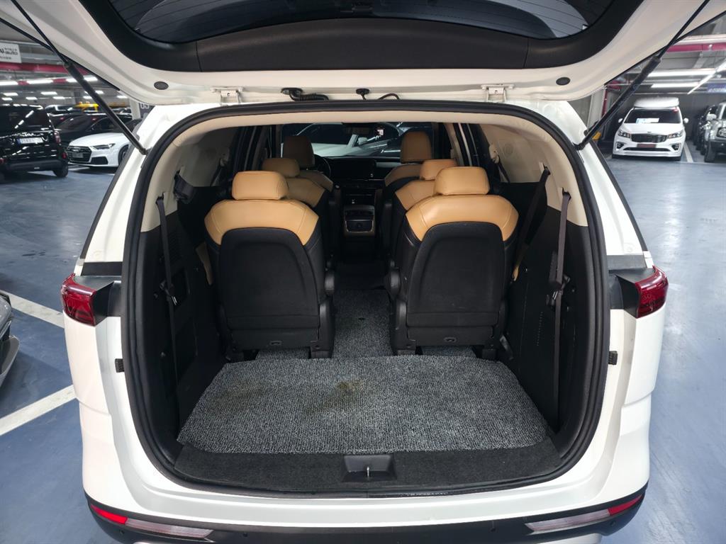 KIA Carnival - Vista 8