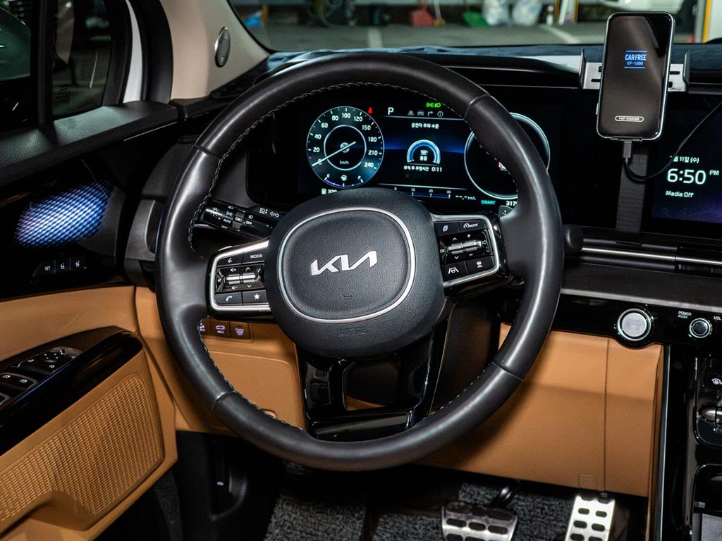 KIA Carnival - Vista 12