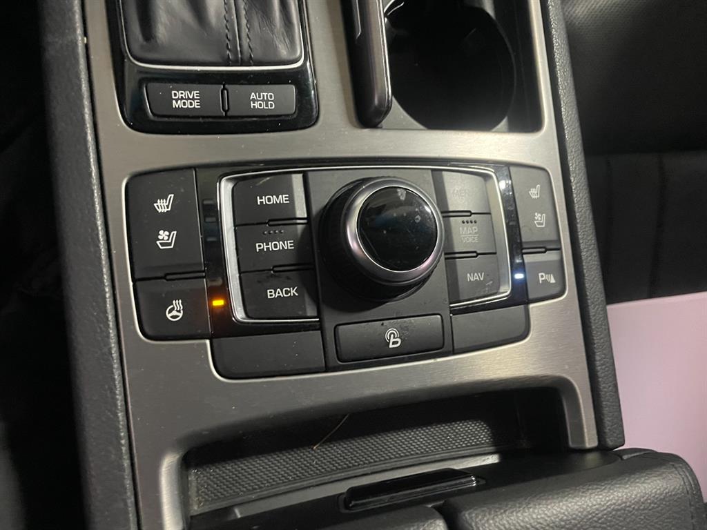 HYUNDAI Genesis - Vista 12