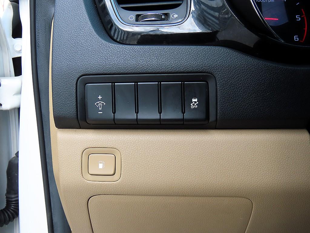 KIA Carnival - Vista 12