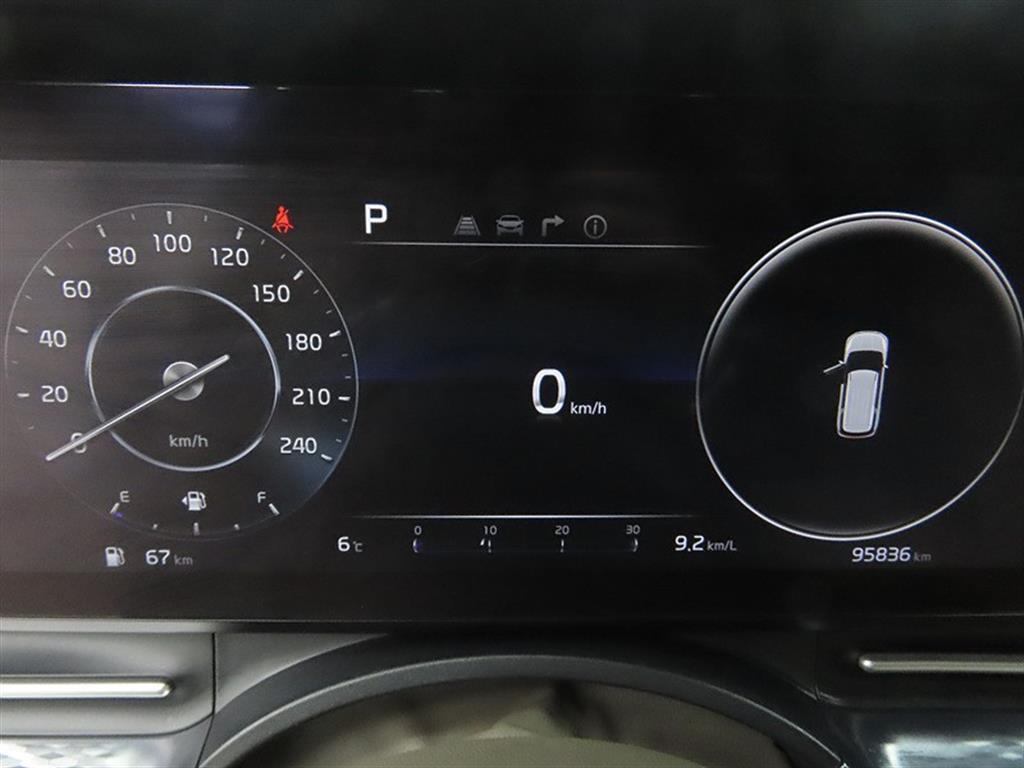 KIA Carnival - Vista 9