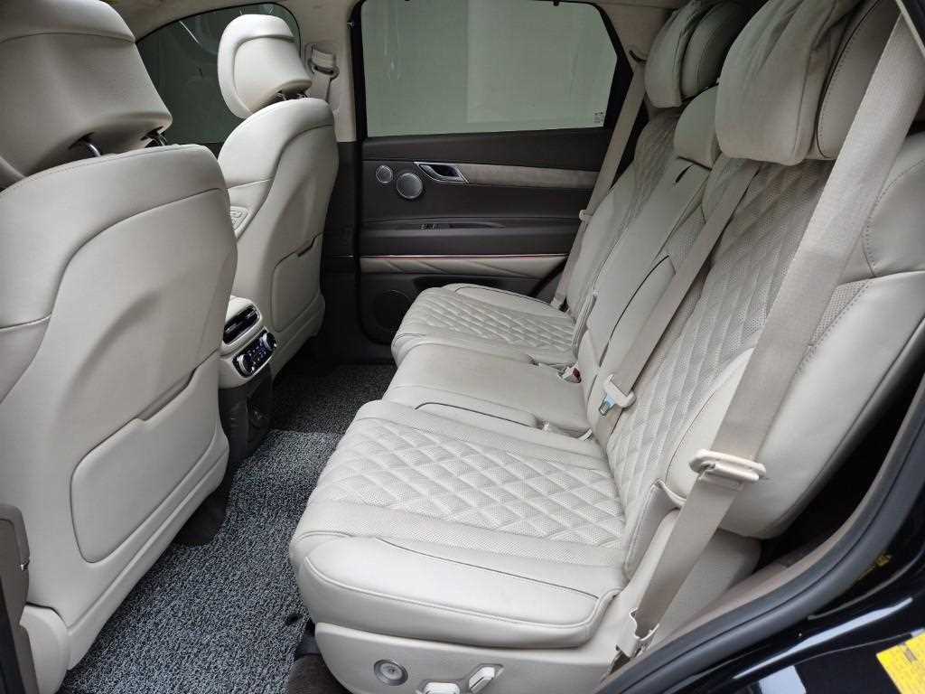 Genesis GV80 - Vista 12