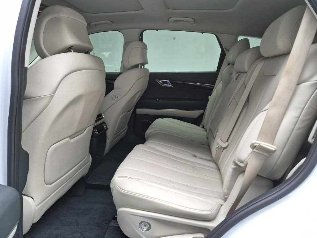 Genesis GV80 - Vista 12