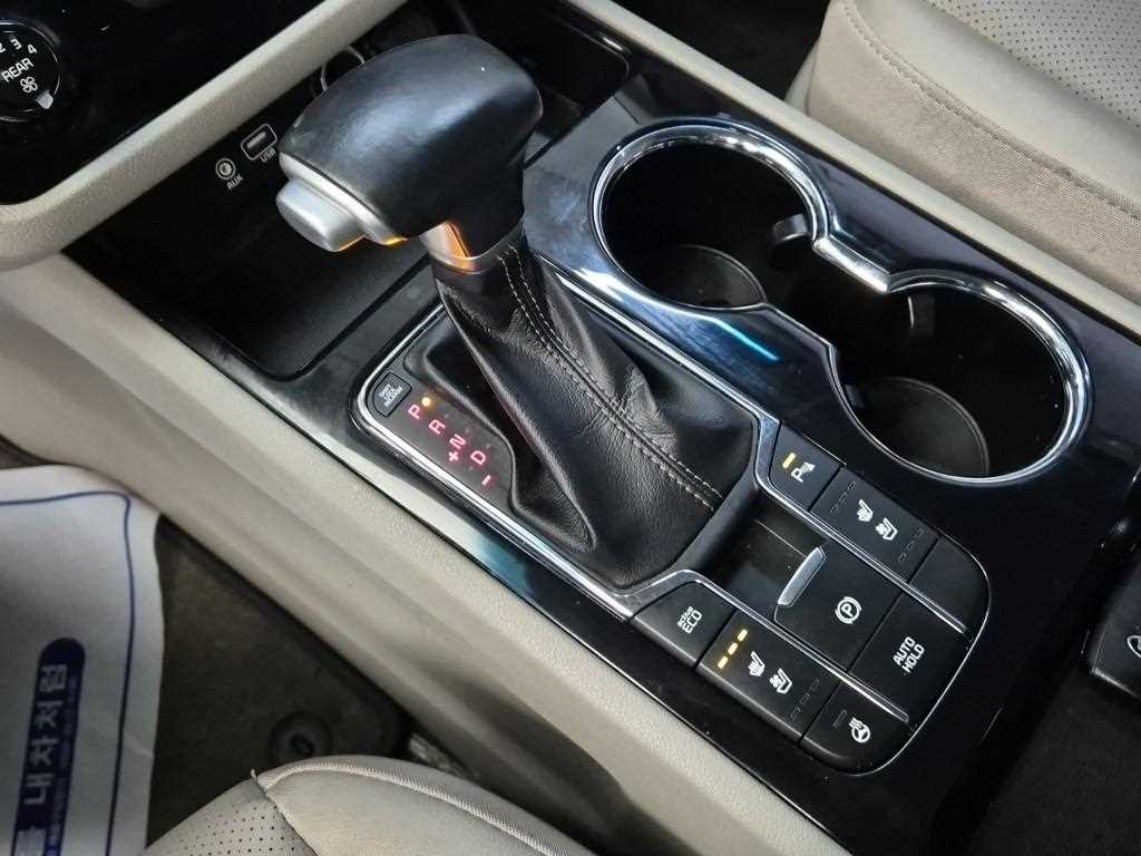 KIA Carnival - Vista 8