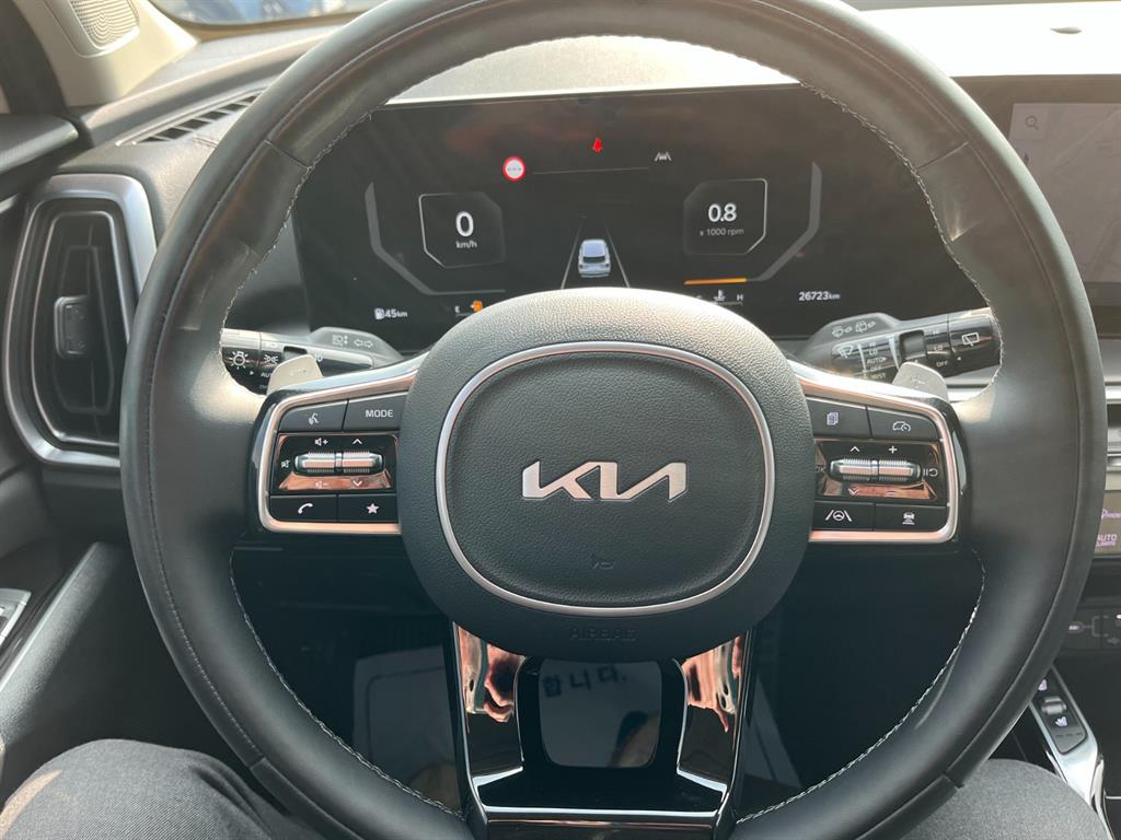 KIA Sorento - Vista 11