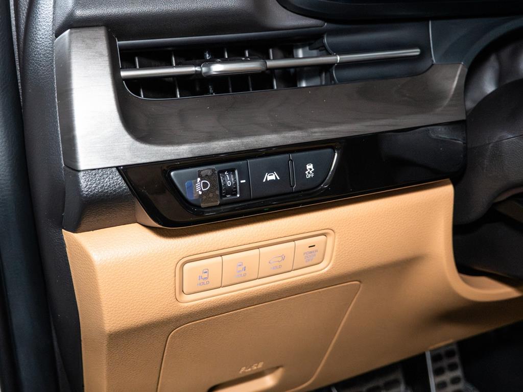 KIA Carnival - Vista 7