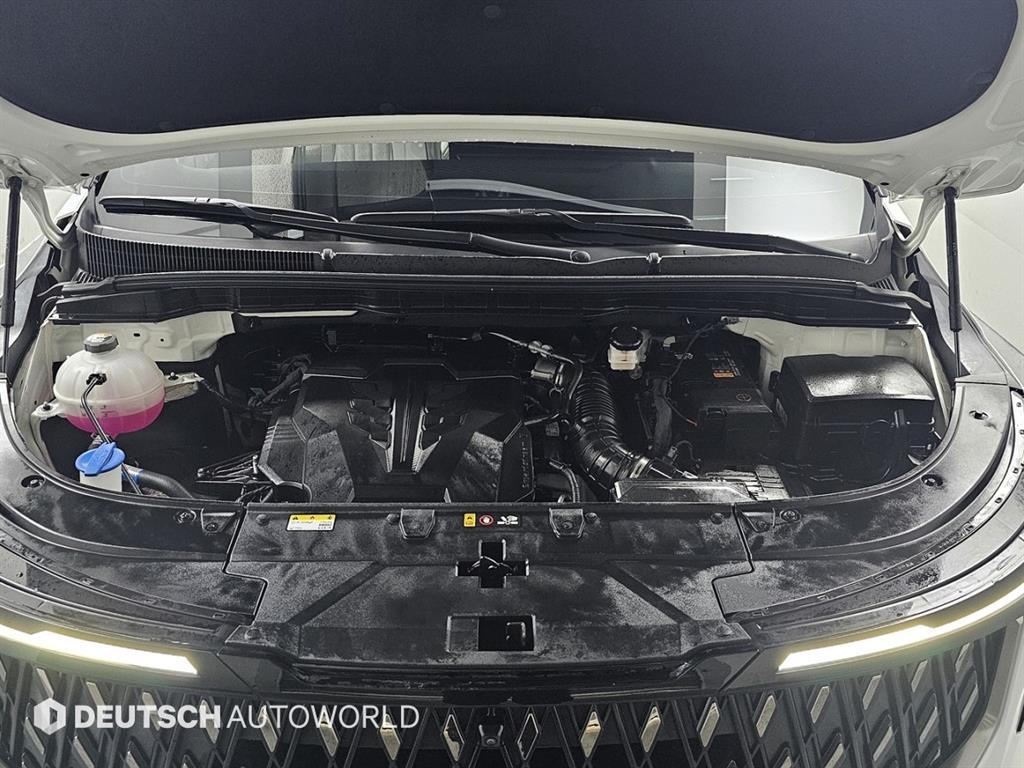 KIA Carnival - Vista 6