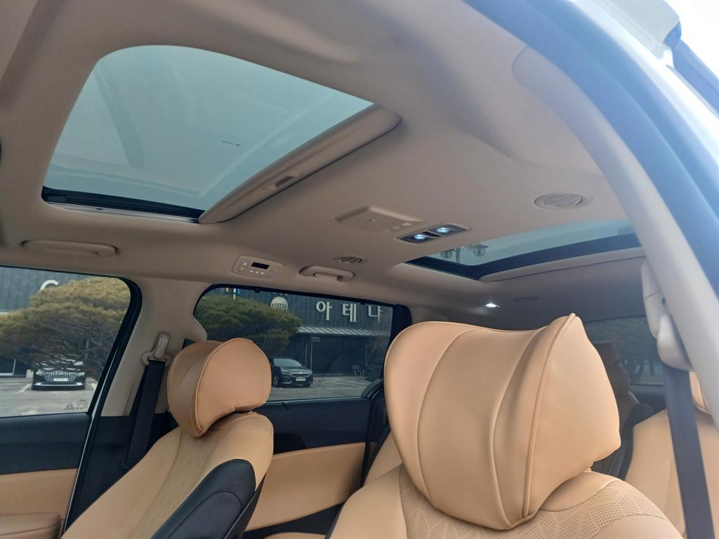 KIA Carnival - Vista 12