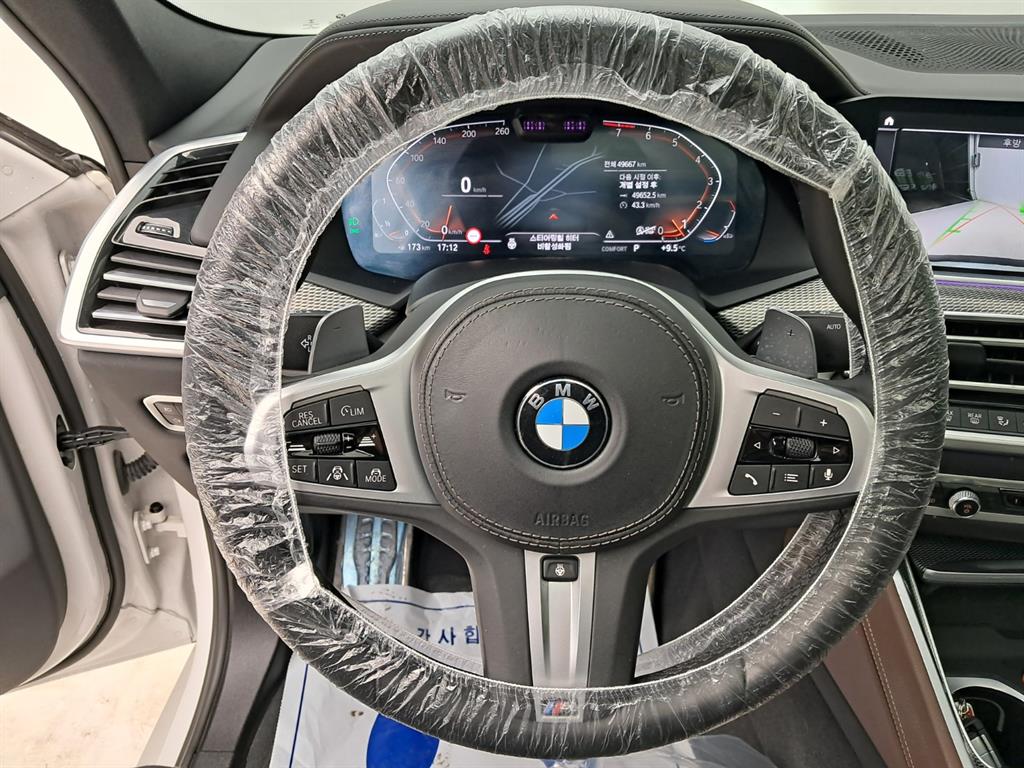 BMW X6 - Vista 12