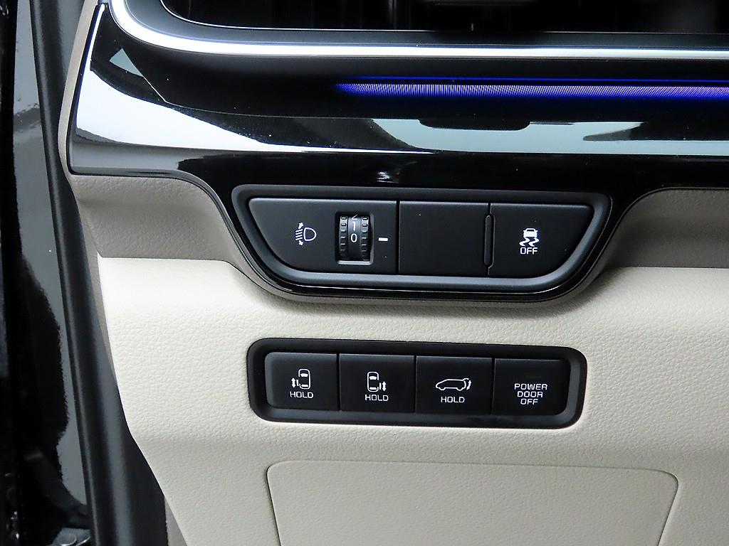 KIA Carnival - Vista 12