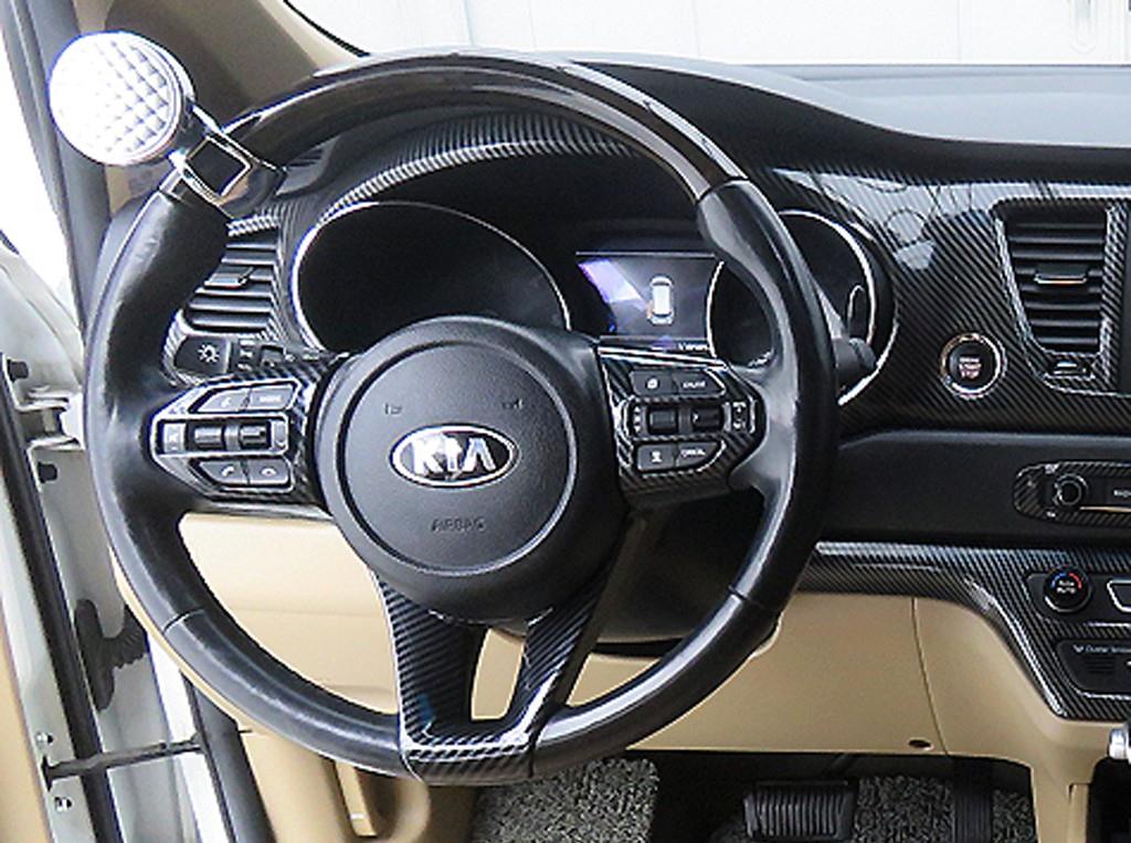 KIA Carnival - Vista 11