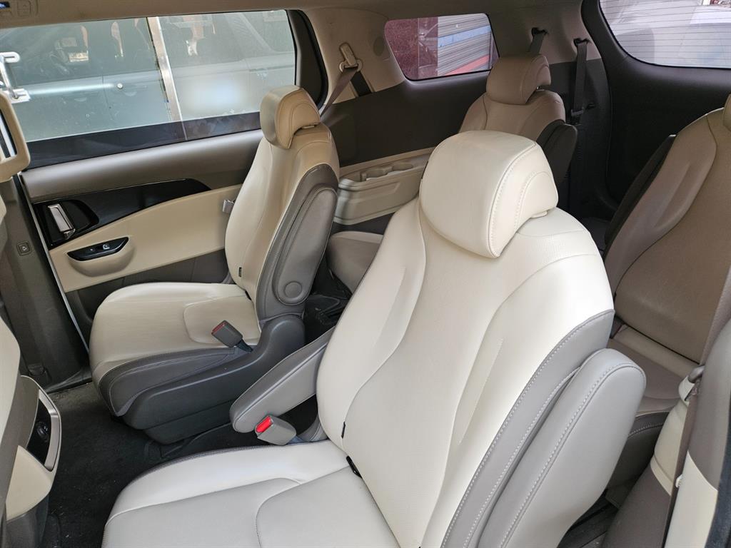 KIA Carnival - Vista 8