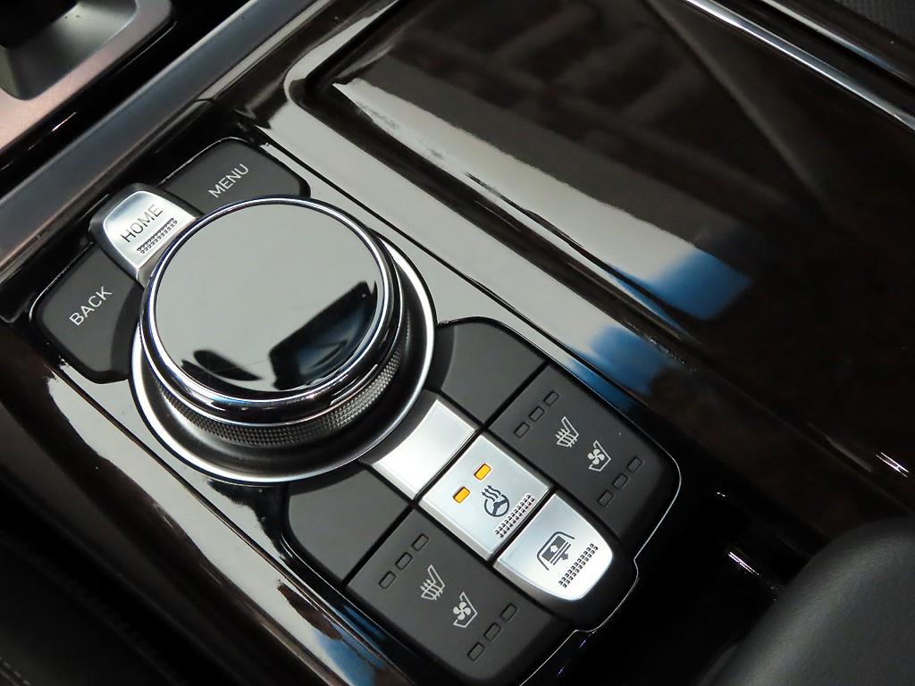 Genesis EQ900 - Vista 11