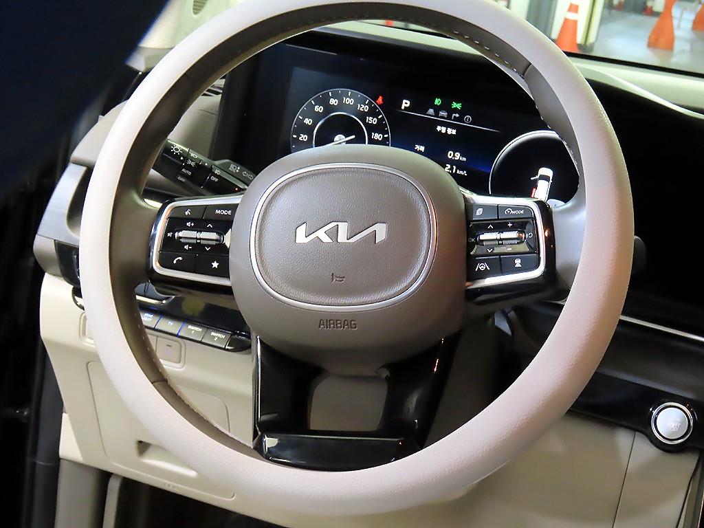 KIA Carnival - Vista 8