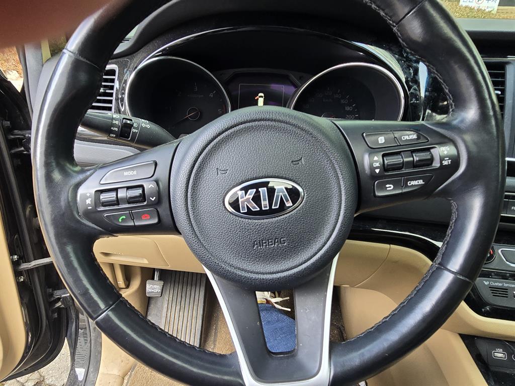 KIA Carnival - Vista 7