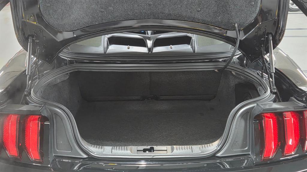 Ford Mustang - Vista 5