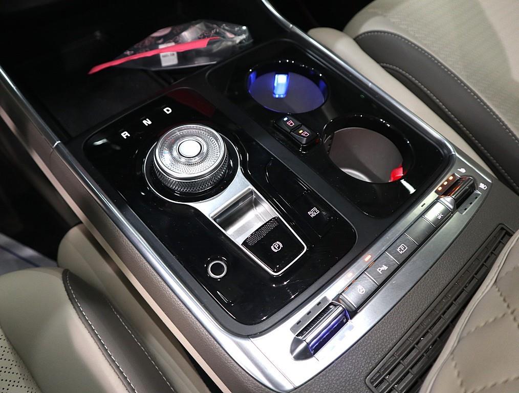 KIA Carnival - Vista 12