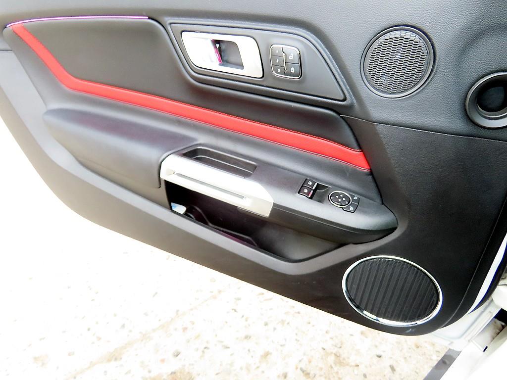 Ford Mustang - Vista 12