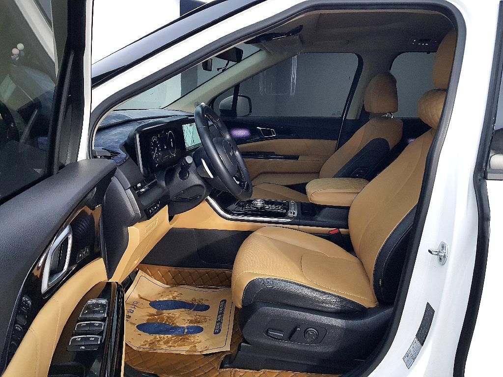 KIA Carnival - Vista 8