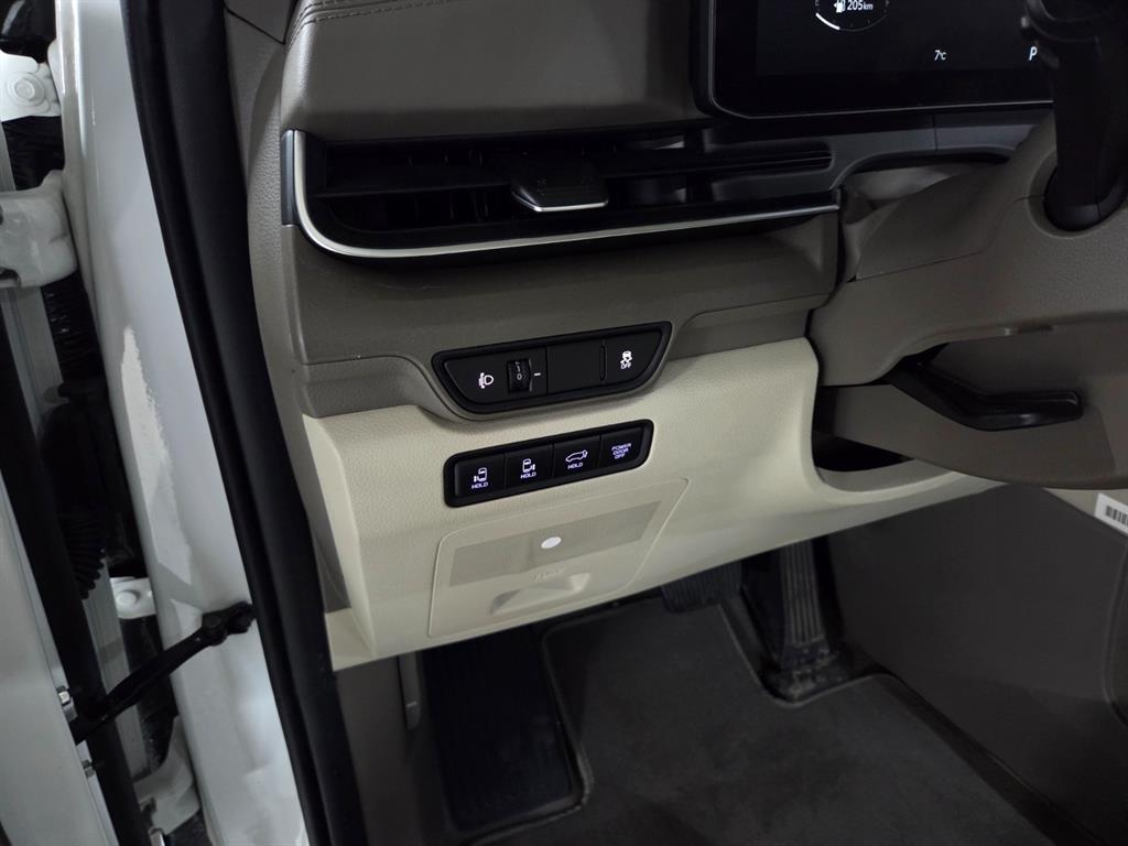 KIA Carnival - Vista 12