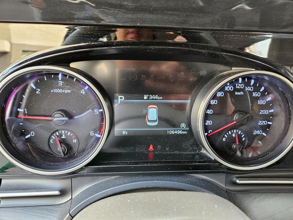 KIA Carnival - Vista 12