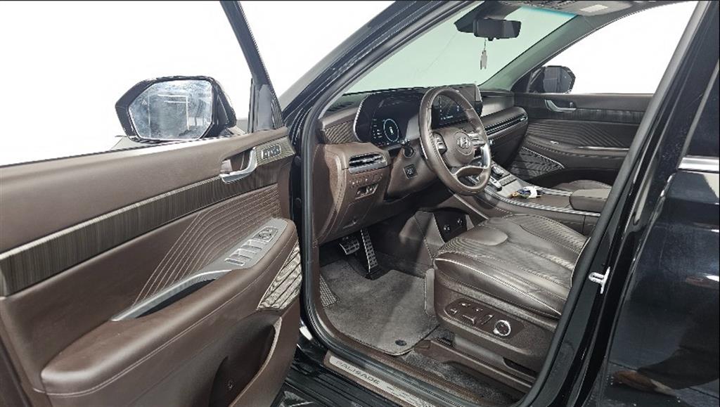 HYUNDAI Palisade - Vista 10