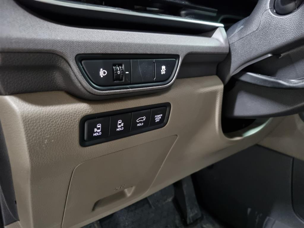 KIA Carnival - Vista 12