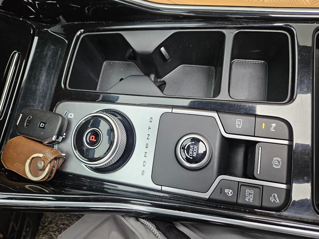 KIA Sorento - Vista 12