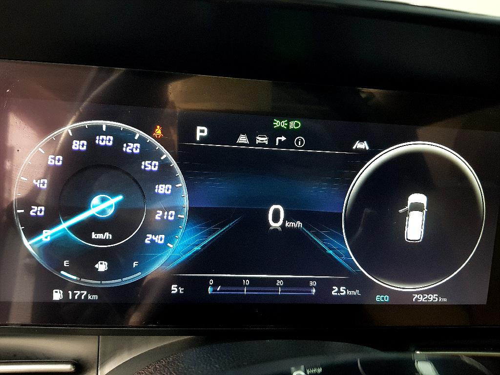 KIA Carnival - Vista 7