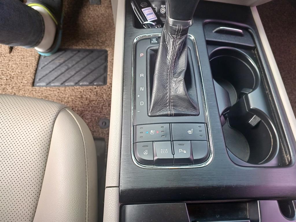 KIA Carnival - Vista 12