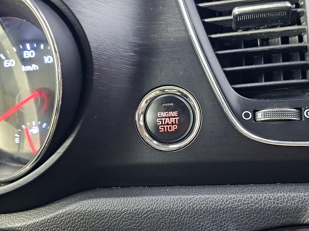 KIA Carnival - Vista 12