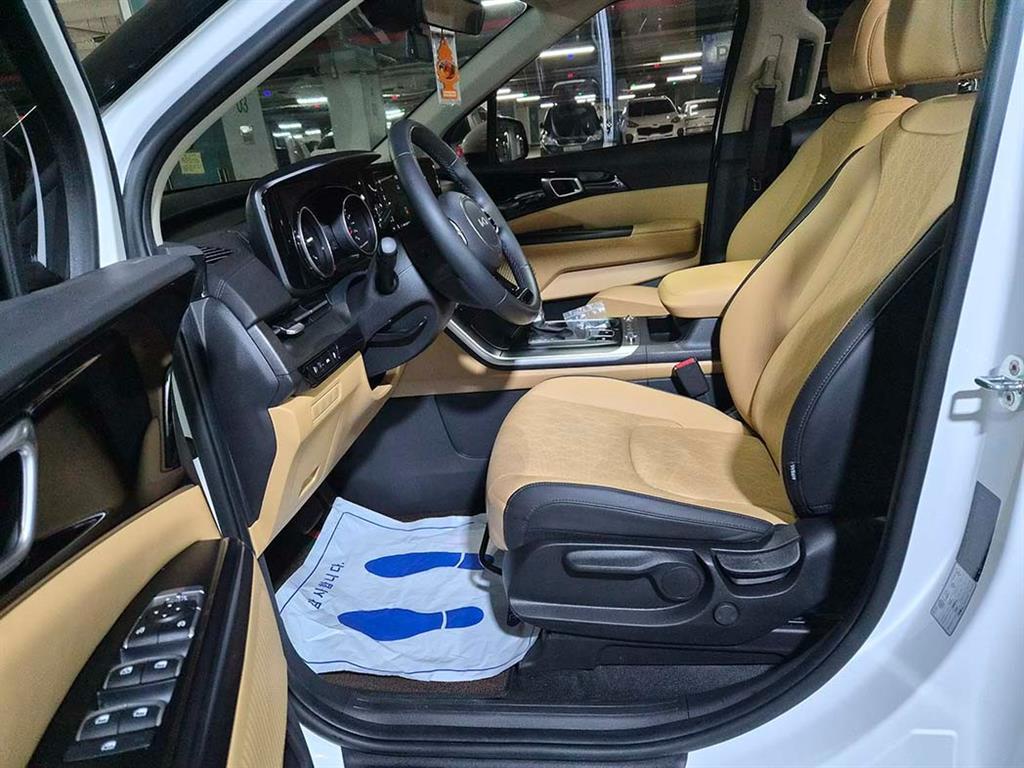 KIA Carnival - Vista 6