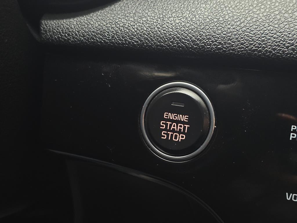 KIA Sportage - Vista 12