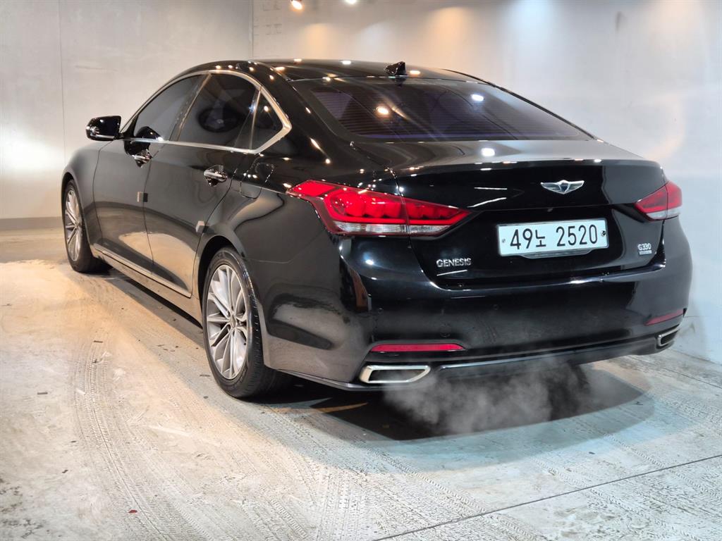 HYUNDAI Genesis - Vista 4