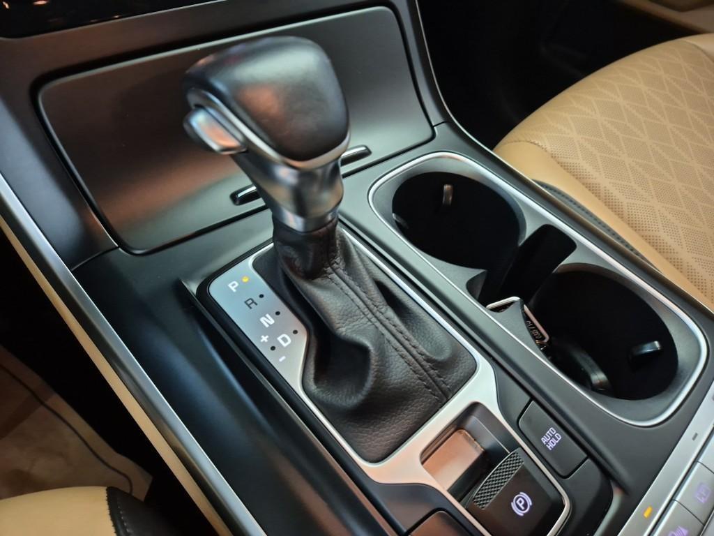 KIA Carnival - Vista 8