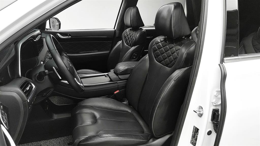 HYUNDAI Palisade - Vista 10