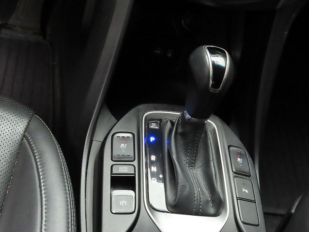 HYUNDAI Maxcruz - Vista 10