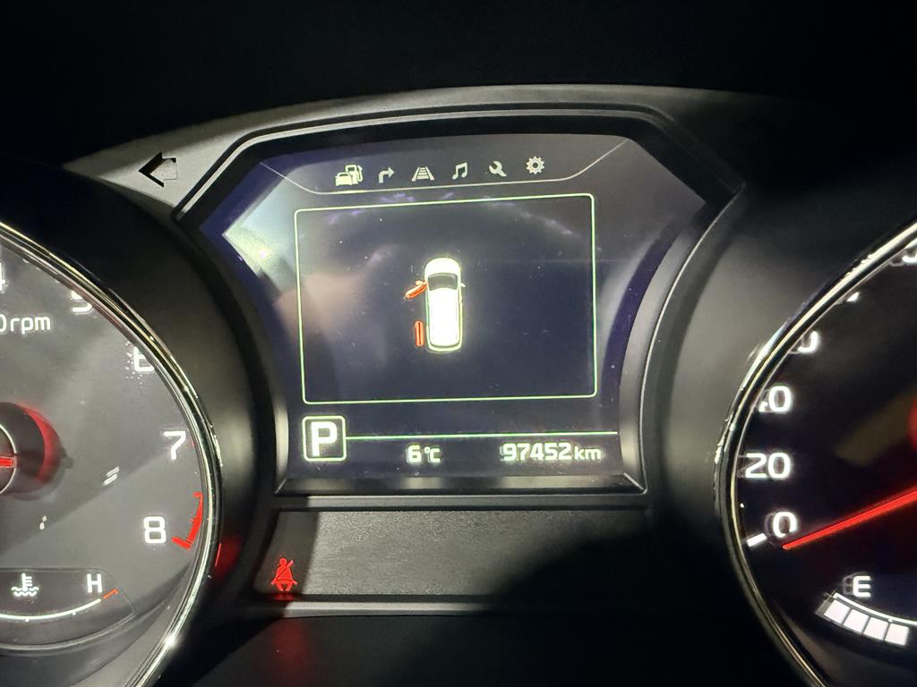 KIA Carnival - Vista 7