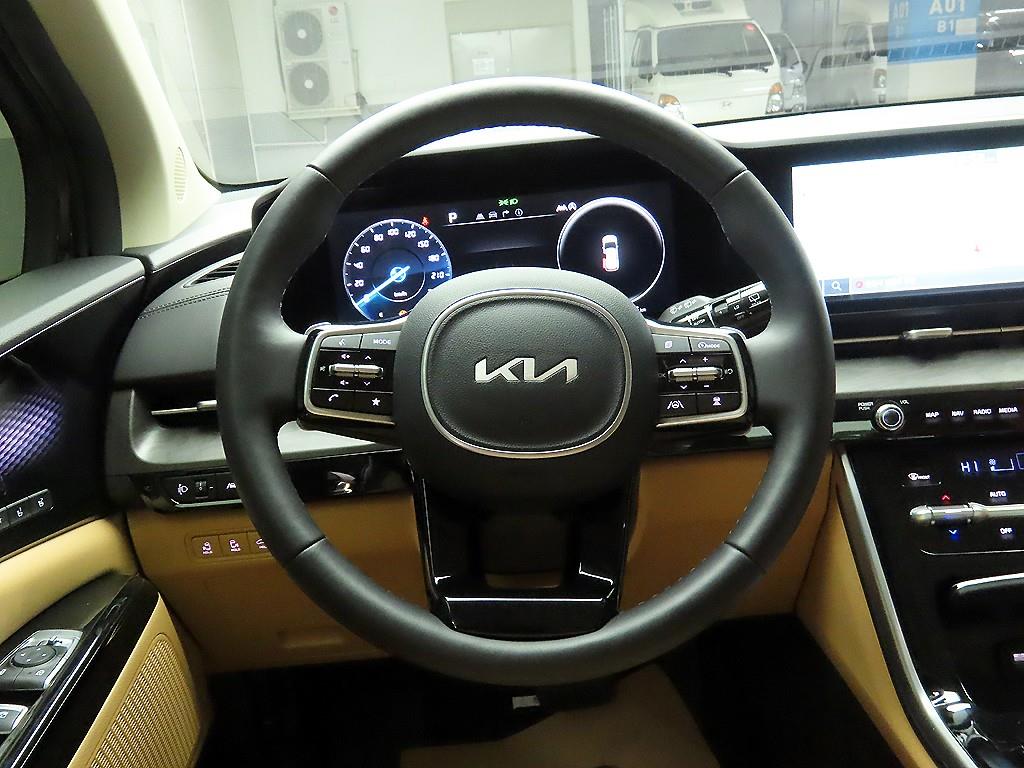 KIA Carnival - Vista 7