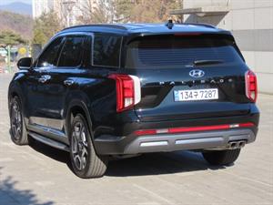 HYUNDAI Palisade - Vista 8