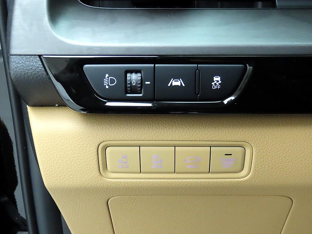 KIA Carnival - Vista 12