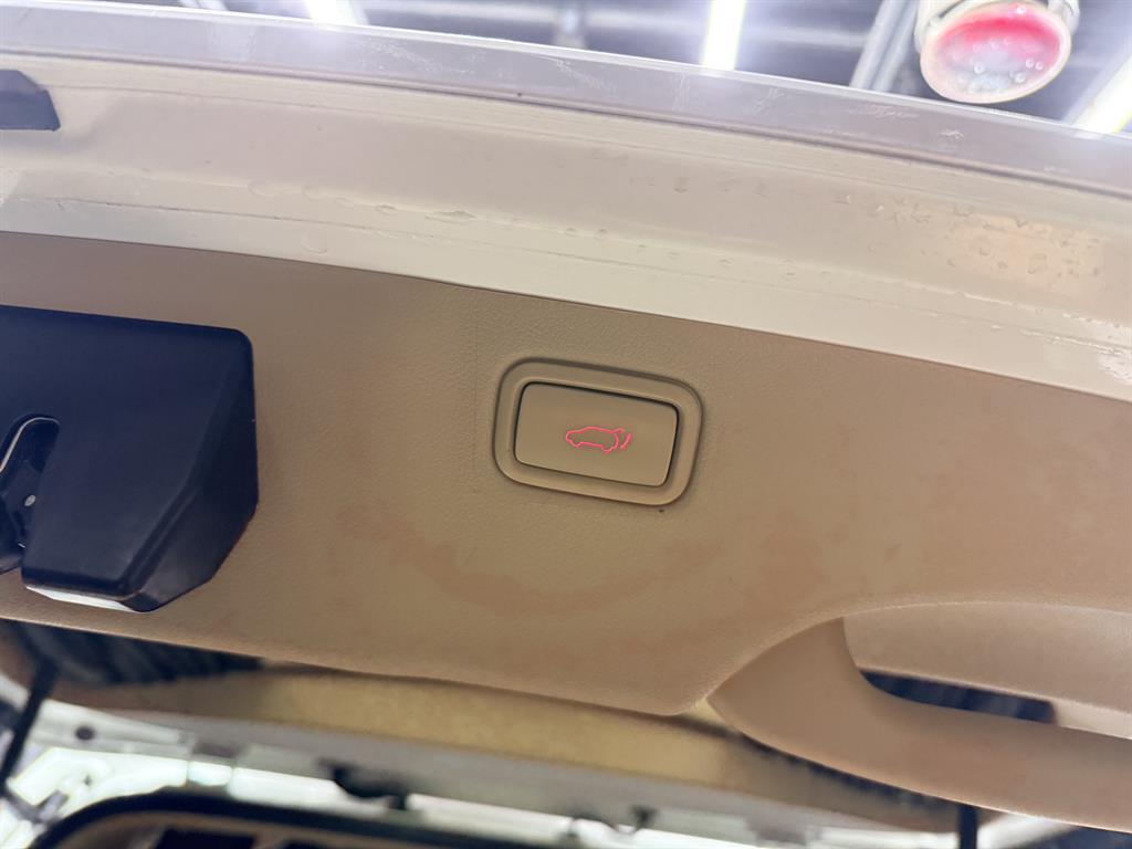 KIA Carnival - Vista 12