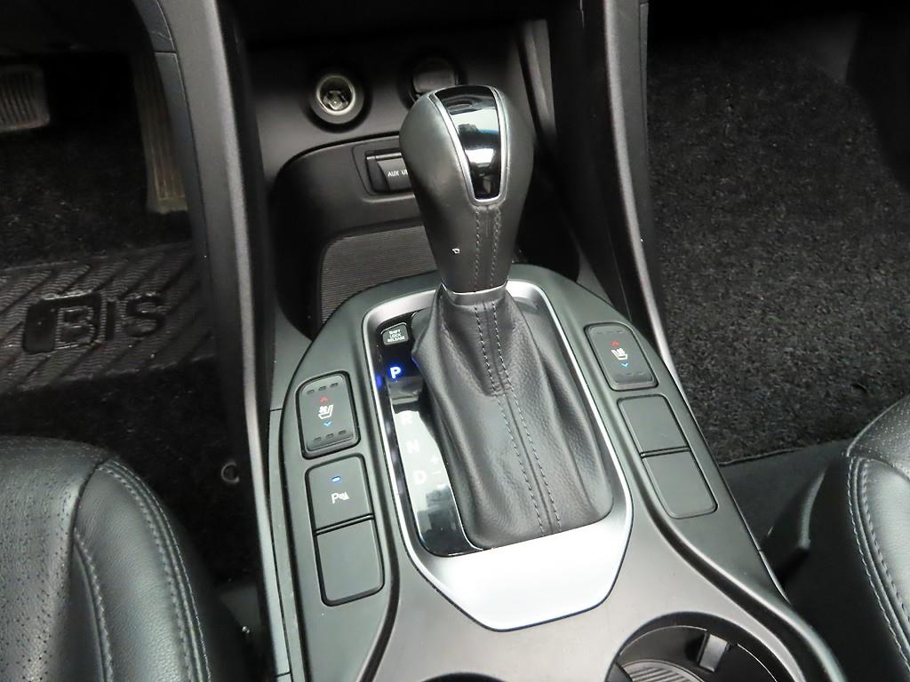 HYUNDAI Maxcruz - Vista 10