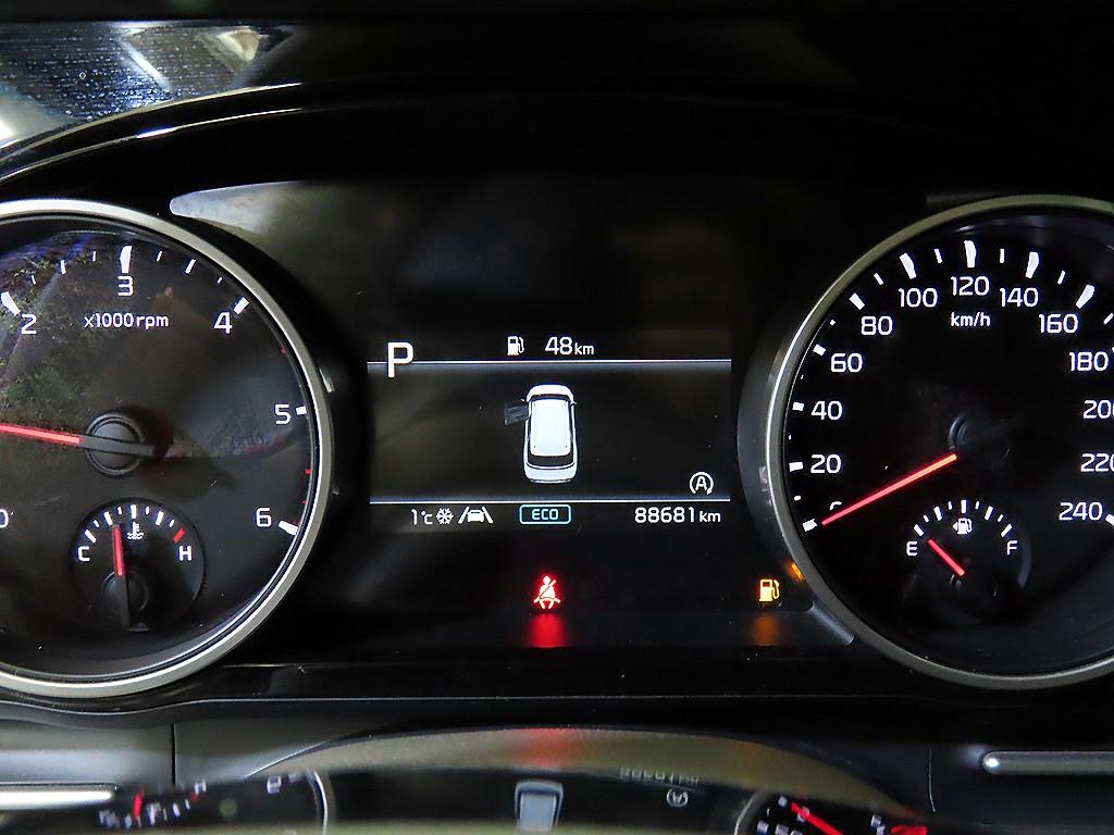 KIA Carnival - Vista 9