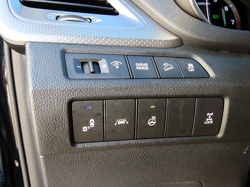 HYUNDAI Maxcruz - Vista 12