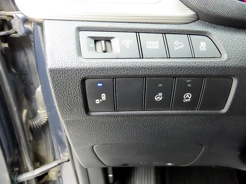 HYUNDAI Maxcruz - Vista 12