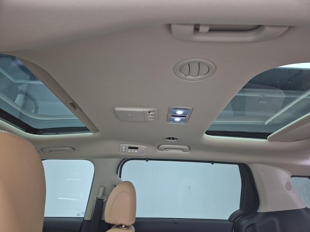 KIA Carnival - Vista 12