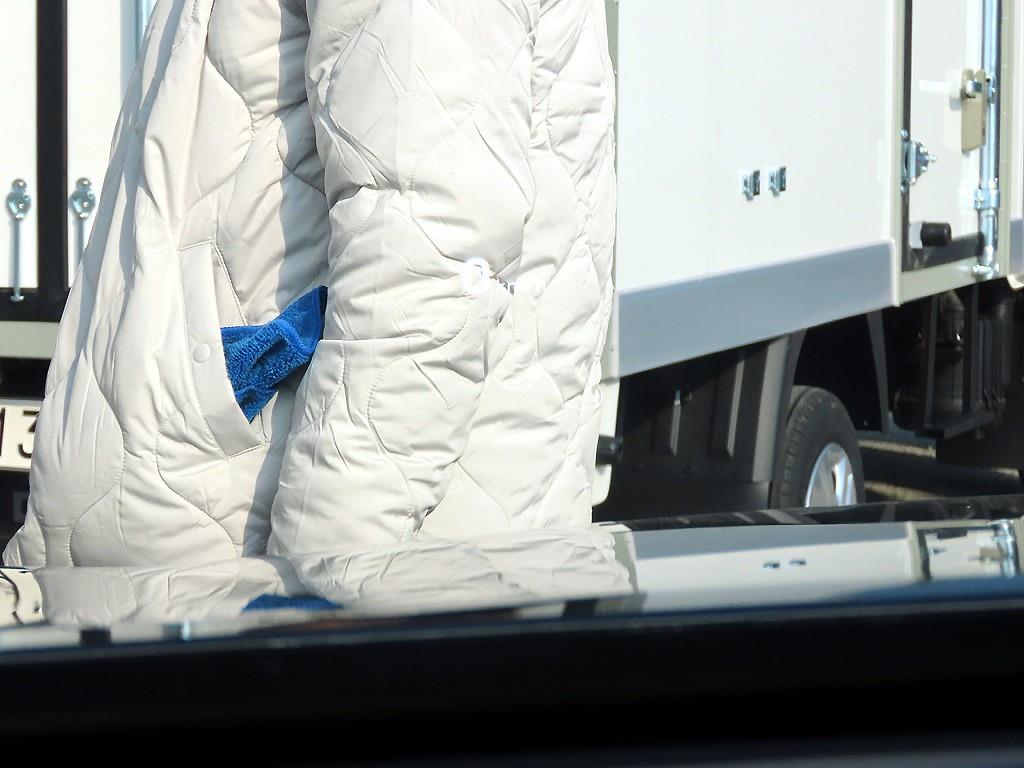 Genesis EQ900 - Vista 10