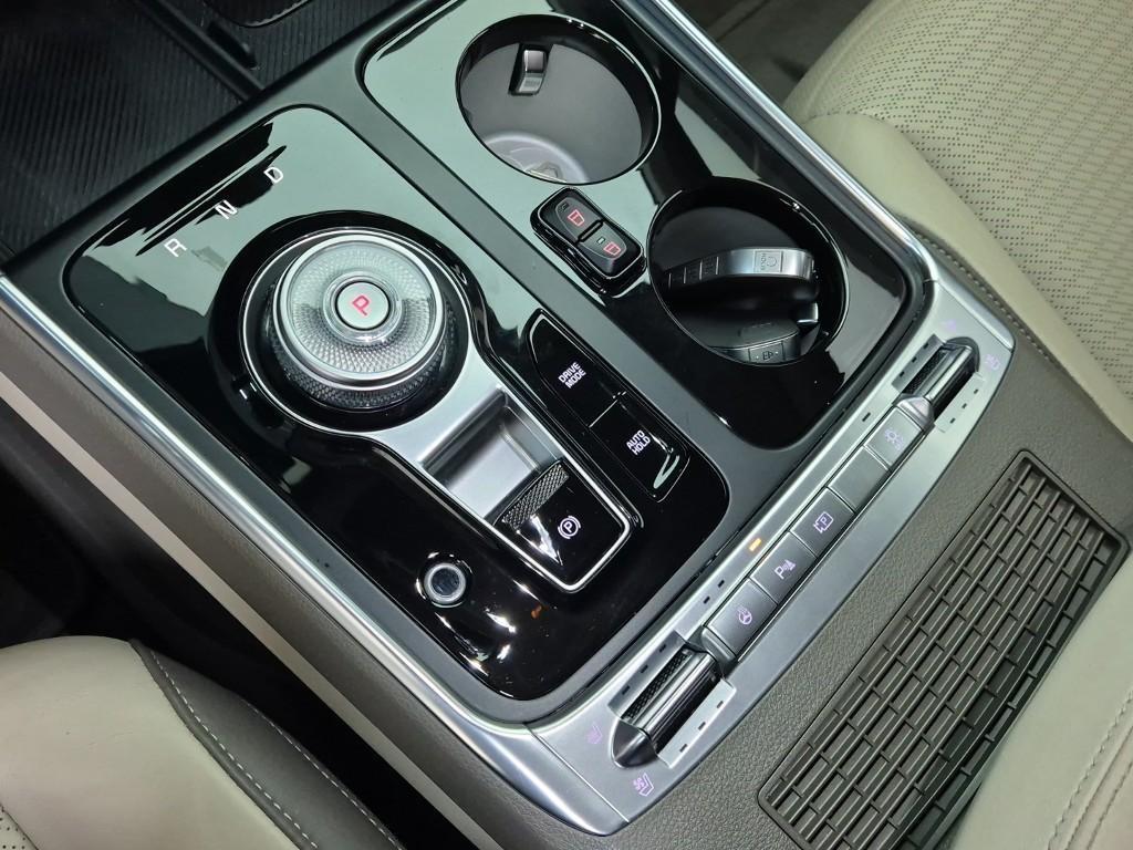 KIA Carnival - Vista 8